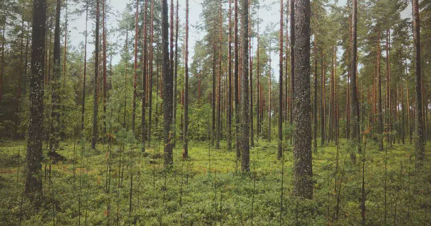 Why UK Businesses Need Expert Cloud Services in London